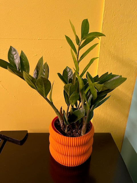 Wave Plant Pot (Orange)