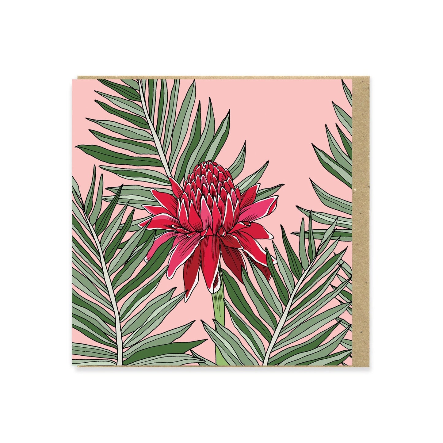 Torch Ginger Greeting Card